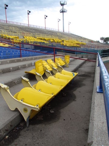 yellow seats at Rosenblatt