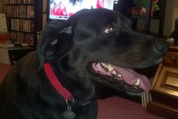 IMG_20131027_153748_892