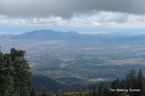 National Walking Day