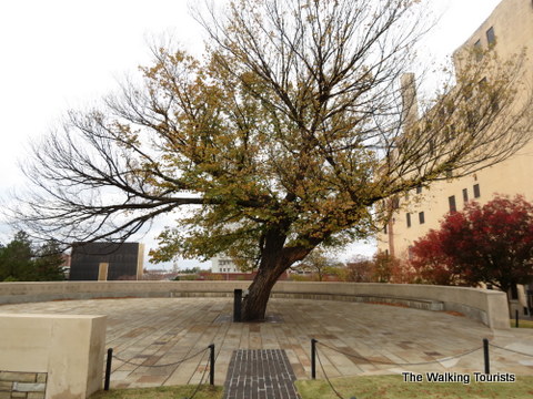 Survivor Tree at Oklahoma City Memorial