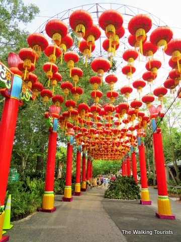 Chinese lanterns at the Lowry Park Zoo in Tampa, Florida