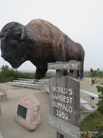 World's largest buffalo