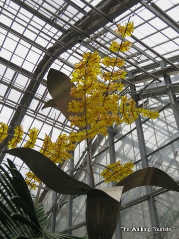 Lauritzen Gardens