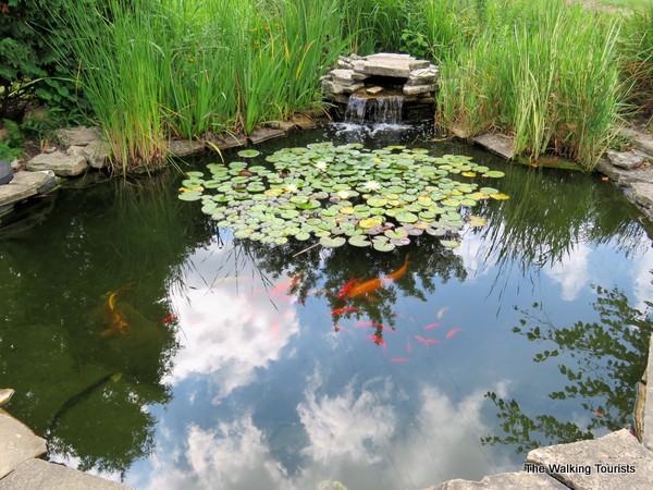 Koi pond at Cedar Valley Arboretum in Waterloo, Iowa 