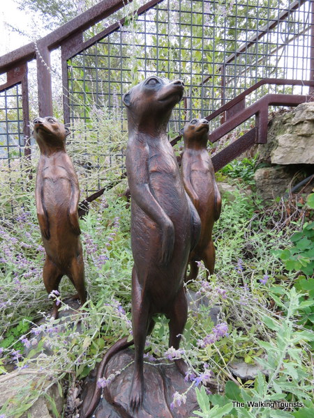 Meerkat statues at St. Louis Zoo