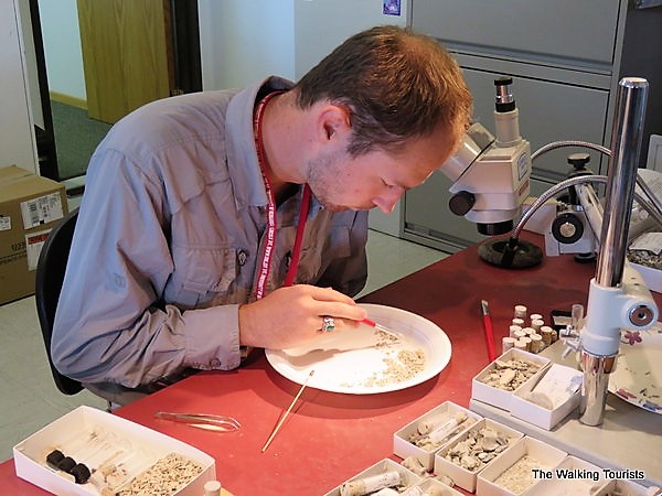A researcher is busy working on recent finds.