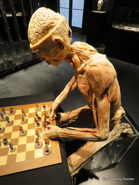 A cadaver position in a chair appearing to play chess