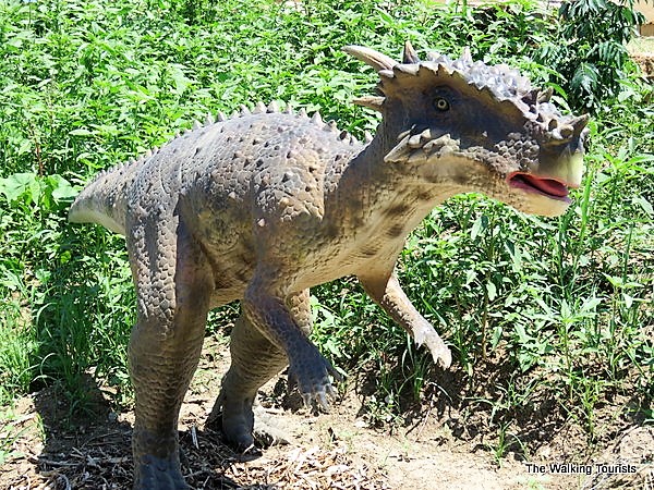 The Dracorex Hogwartsia is named after the Harry Potter movies.