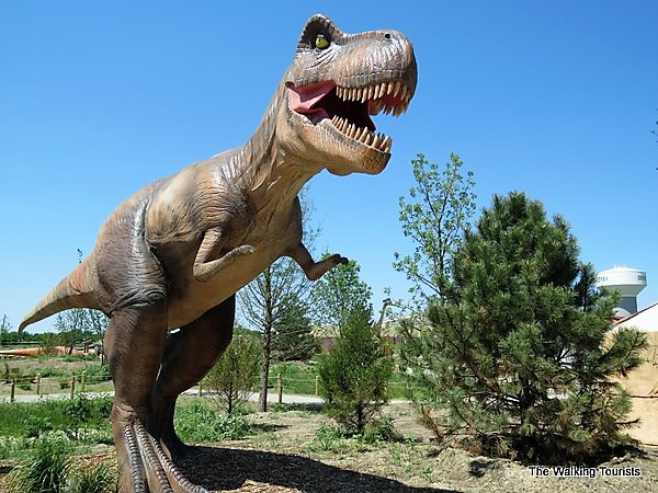 A T-rex at the dinosaur attraction in Derby.