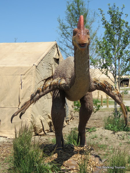 An Anzu, discovered in 2006, is a birdlike 2-legged dinosaur