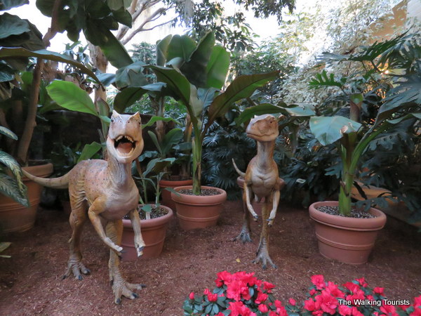 Two velociraptors stand guard during the exhibit.