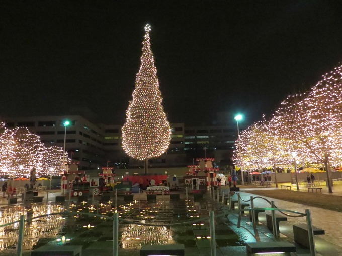 Mayor's tall tree decorated in white lights and surrounded by smaller trees lit in white